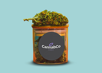 CannabCo